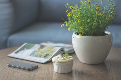 potted plant yellow petaled flower plant beside book and iPhone 5s table